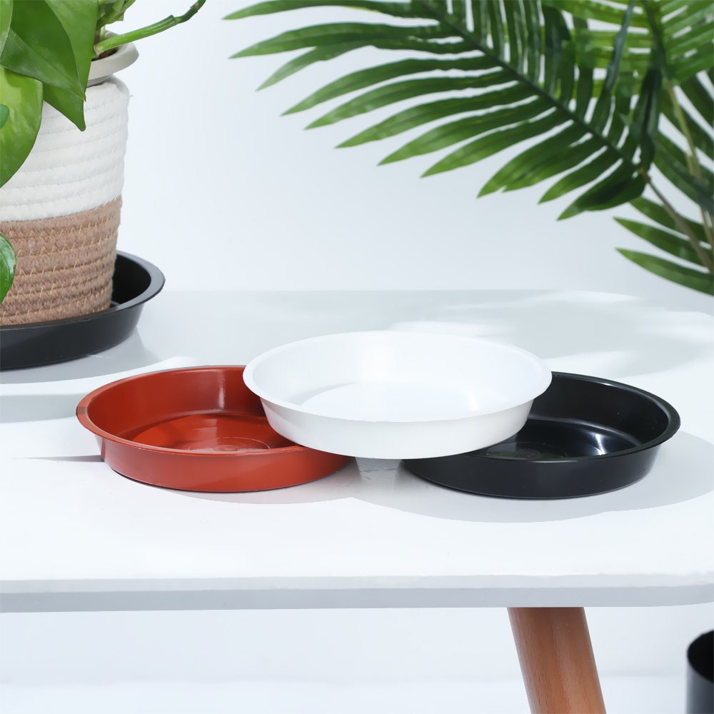 Bandejas para plantas de forma - Drip Tray Saucer reseña y precio